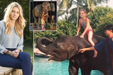 Câu chuyện về chú voi dũng cảm cứu bé gái khỏi sóng thần Nam Á