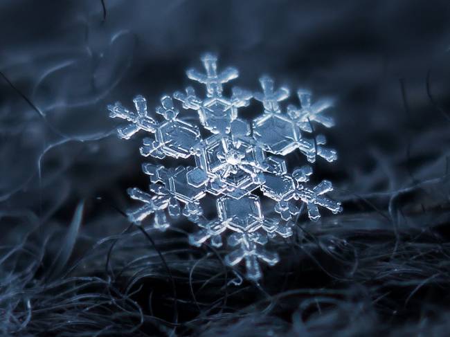 macro snowflake photo