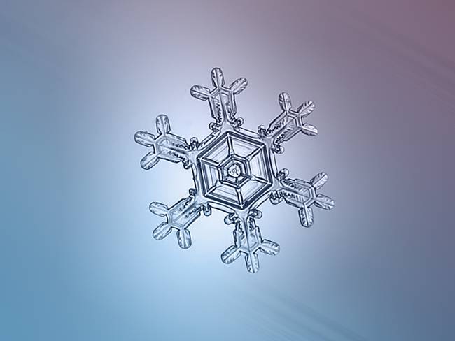 macro snowflake photo