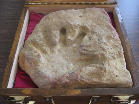 Dấu hằn của một bàn tay người đầy đủ được tìm thấy trong tảng đá vôi 110 triệu năm tuổi ở Glen Rose, Texas, Mỹ. (Ảnh: paleo.cc)