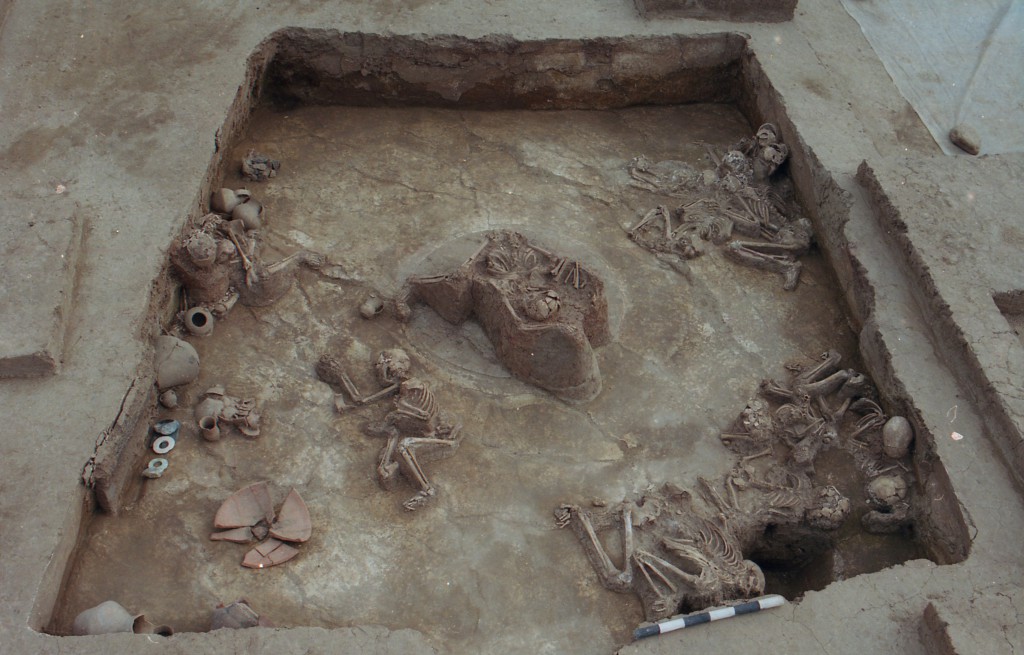 14 bộ xương của nạn nhân động đất tìm thấy ở Lạc Gia năm 2000 (ảnh: Cai Linhai)