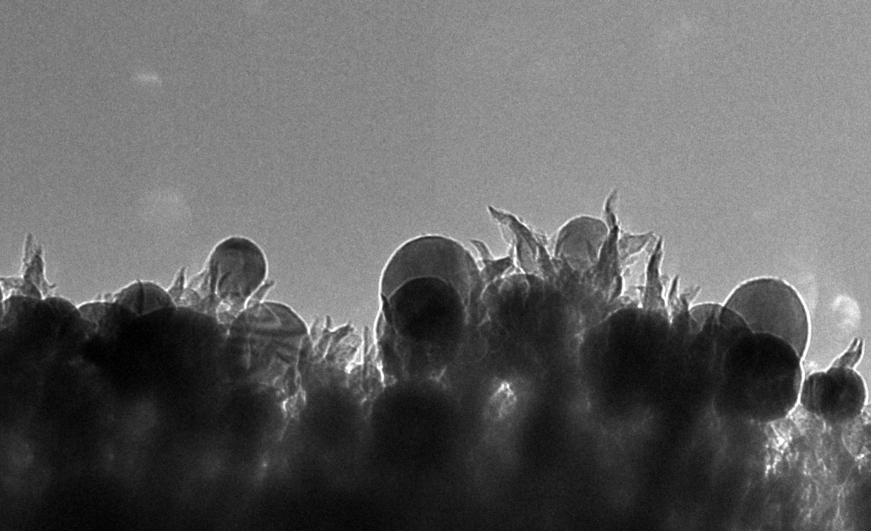 cận cảnh các nhánh nano cacbon (ảnh: ORNL)