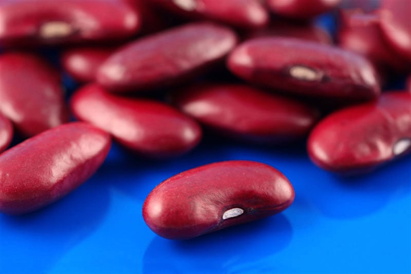 Đậu thận (kidney bean) được đặt tên như vậy vì nó có hình dáng giống như thận, trùng hợp thay, đây cũng là một loại thức ăn bổ thận! (ảnh: healthysupplies.co.uk)
