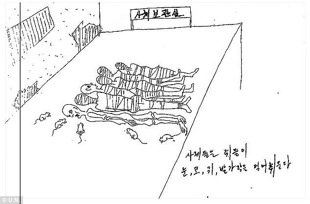 Xác tù nhân chính trị. Câu mô tả tiếng Hàn: "Chuột ăn mắt, mũi, tai và ngón chân của xác người".
