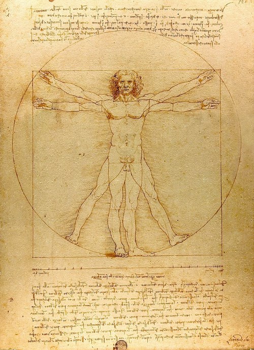 Bức Vitruvian Man của Leonardo Da Vinci: Tỉ lệ hoàn mĩ của cơ thể con người