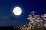 trung thu, Nghi lễ ngắm trăng tại đất nước mặt trời mọc