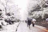 Tokyo, Nhật Bản đang trải qua một mùa đông khắc nghiệt nhất