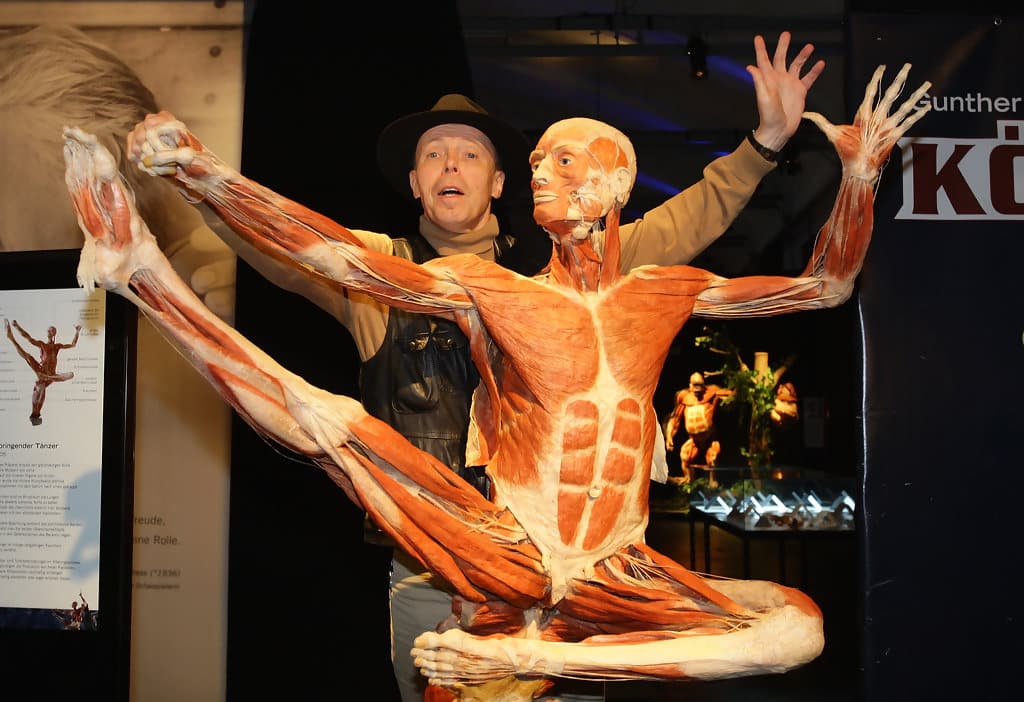 Triển lãm thân thể người nhựa hóa, Gunther Von Hagens, triển lãm cơ thể người, triển lãm xác người