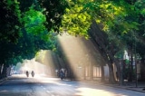 Hà Nội: Mùa hè bình yên đang về