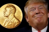 Trump-Nobel