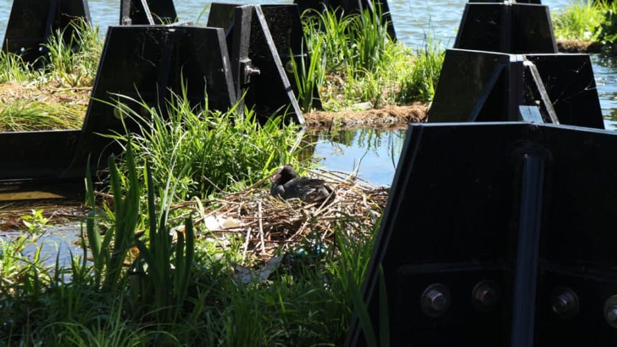Độc đáo: Công viên nổi ở Hà Lan được làm từ rác thải nhựa