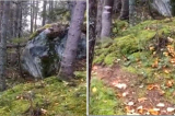 Kỳ lạ: Mặt đất trong rừng Canada như đang "thở gấp"