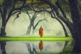 Chuyện cổ Phật gia: 4 điều không tồn tại vĩnh cửu trong cuộc đời