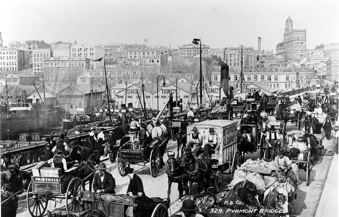 Đại khủng hoảng phân ngựa năm 1894