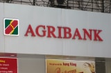 Ngân hàng Agribank rao bán loạt bất động sản của ‘trùm’ xăng giả Trịnh Sướng