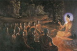 500 người mù đi tìm đức Phật