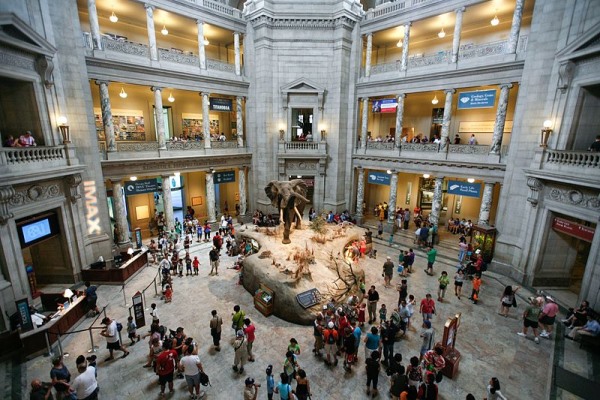 Viện Smithsonian và sự thành tín của một quốc gia