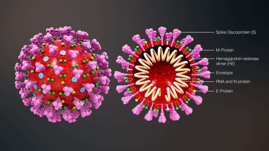 nghi vấn mới về nguồn gốc của virus viêm phổi Vũ Hán
