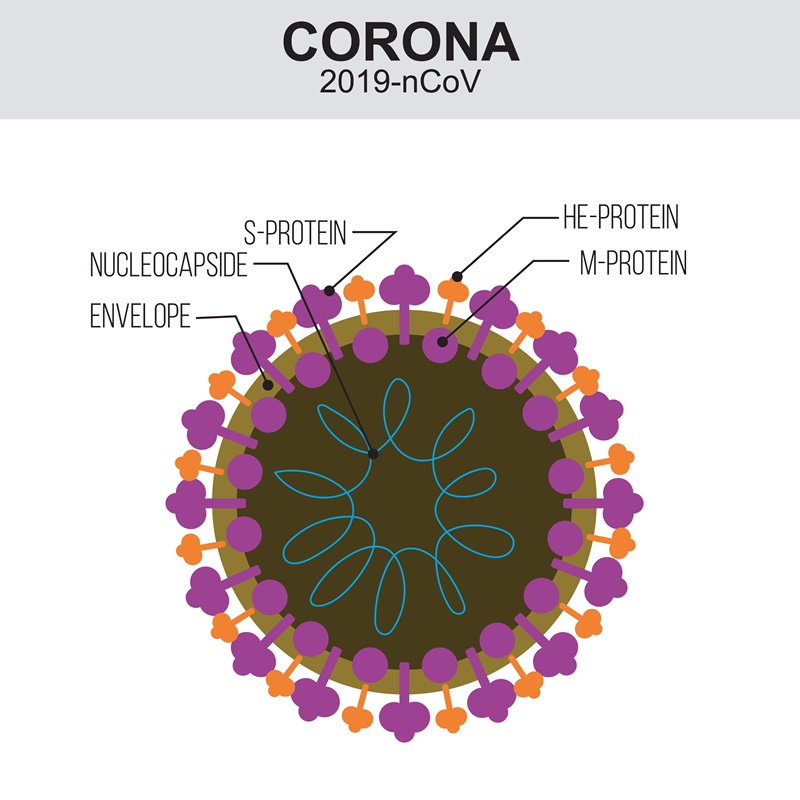 virus corona