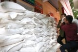 đấu thầu lại hơn 180.000 tấn gạo, Bộ Tài Chính