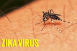 virus Zika, Bộ Y tế