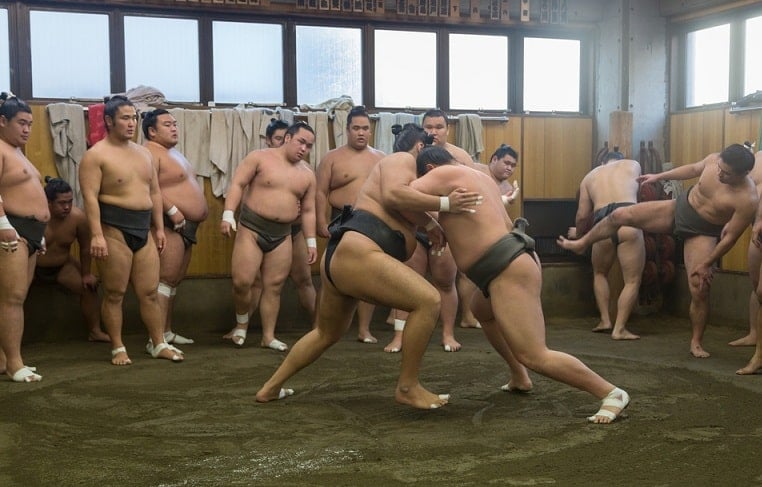 đô vật sumo