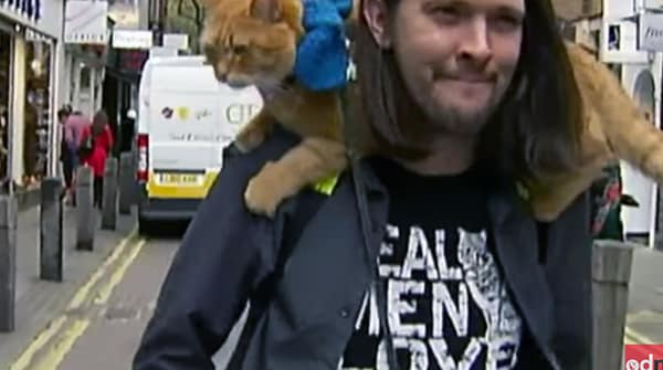 James - người đàn ông vô gia cư và chú mèo vàng của mình