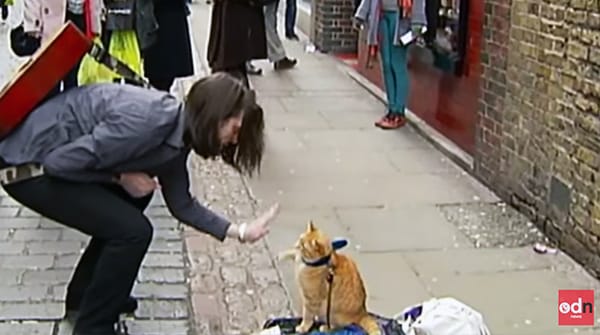 Người đàn ông vô gia cư và chú mèo vàng trên đường phố Luân Đôn