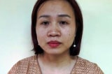 CDC Hà Nội, kế toán trưởng CDC Hà Nội bị khởi tố
