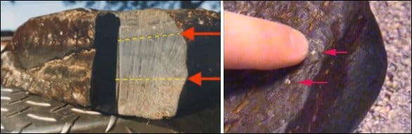 Trái: Kết quả phân tích của phòng thí nghiệm Galbraith Labs tại Knoxville, Tennessee, Mỹ cho thấy mẫu gỗ hóa thạch này chứa tới 0,7% carbon hữu cơ.
