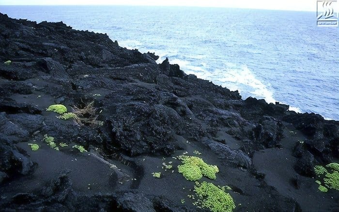 forbidden-places-on-earth-surtsey-island-iceland-15
