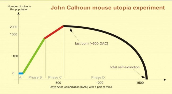 Biểu đồ số lượng chuột trong thời gian thí nghiệm