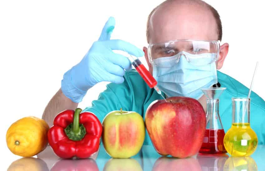 Thực phẩm biến đổi gen có an toàn hay không vẫn là câu hỏi lớn với thế giới (ảnh: Shutterstock)