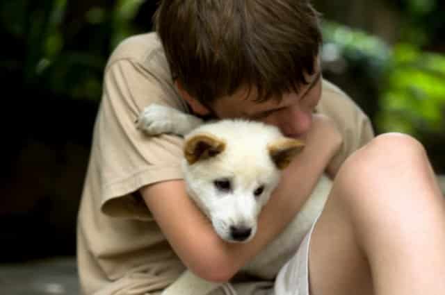 Suy ngẫm: Cậu bé và chú chó tật nguyền