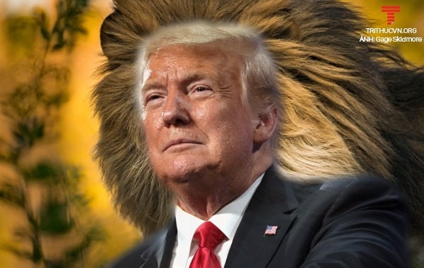 Trump lion small copy