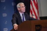 1024px Anthony S. Fauci M.D. NIAID Director 49673229463