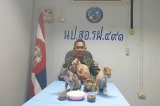 giải cứu mèo, hải quân Thái lan