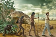 Sự phá hoại của thuyết tiến hóa đối với đạo đức nhân loại