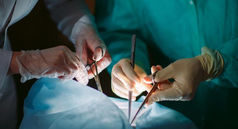 US scholar calls for international pressure on China's organ transplant industry