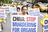 Hoa Kỳ sẽ tiếp tục tập trung vào nạn cưỡng bức thu hoạch nội tạng của Trung Quốc