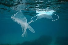 Nghiên cứu: Đại dịch COVID-19 khiến gần 26.000 tấn rác thải nhựa đổ ra các đại dương