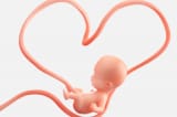 Khảo sát: Gần 60% người Mỹ phản đối TCPV lật ngược án lệ phá thai