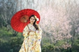 Ô Nhật Bản truyền thống được truyền lại hàng ngàn năm như thế nào?