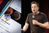 Elon Musk lên kế hoạch chế tạo hàng ngàn tàu vũ trụ, đưa hàng triệu người lên sao Hỏa