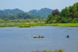 UNESCO đề nghị không làm đường qua khu dự trữ sinh quyển Đồng Nai