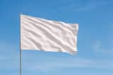 lá cờ trắng