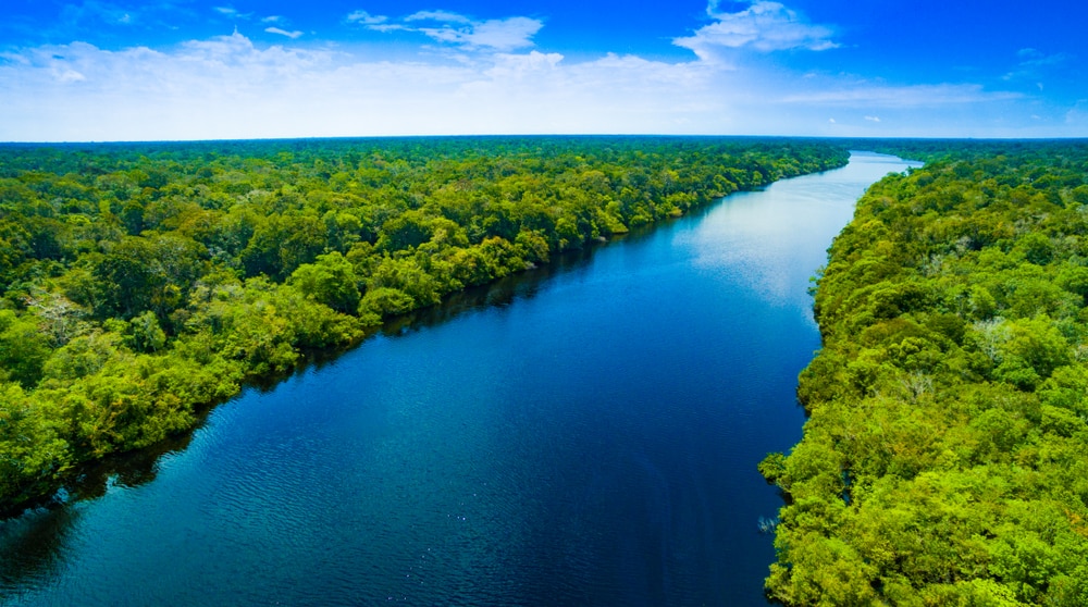 sông Amazon