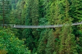 Cầu treo dài nhất thế giới khai trương tại Cộng hòa Séc