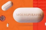 Việt Nam cấp phép thêm 1 loại thuốc có hoạt chất Molnupiravir điều trị COVID-19