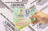 Vụ Tân Hoàng Minh “tạm lắng”, doanh nghiệp BĐS phát hành trái phiếu trở lại
